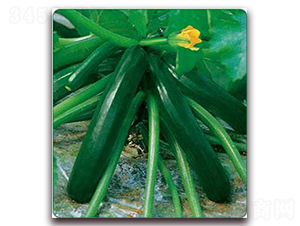 ī��-���������J�N��-���i�N�I(y��)