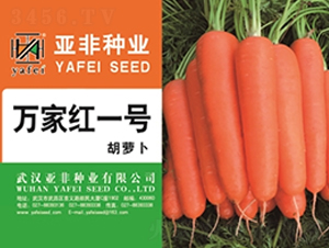 �f(w��n)�Ҽtһ̖(h��o)-���}���N��-����