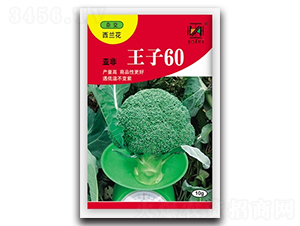 ��������60-���m���N��-����