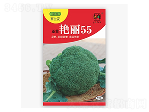 亞非艷麗55-西蘭花種子-亞非