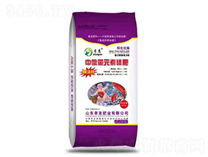 ��΢��Ԫ�ع��-Т�� 