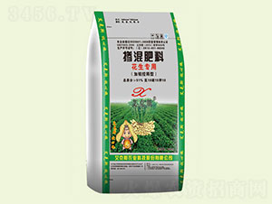 �������Ó������-����˹