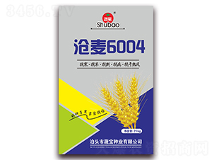 ����6004-С���N��-�ߌ��N�I(y��)