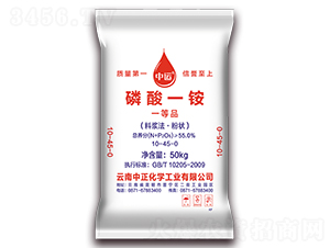 55%����һ�@-�������W