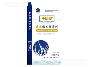 ����΢�������-ǧ���