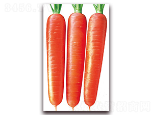 ����172-���}���N��-�|������