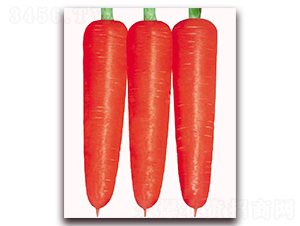 ����(j��)�t��-���}���N��-�|������