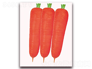 �¼t��-���}���N��-�|������