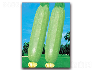 ���ȾGһ̖(h��o)-�����J�N��-�|������