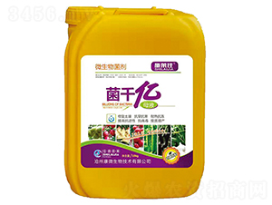 ��ǧ�|ĸҺ-ʩ�R��-ӯ�S�r(n��ng)�I(y��)