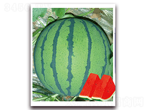 ��ϲ��̖(h��o)-���ϷN��-�|������