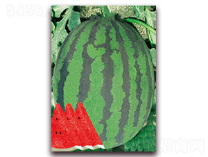 ���󌚠�-���ϷN��-�|������