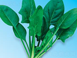 �G��(y��u)��6̖(h��o)-���˷N��-΢�ȷN�I(y��)