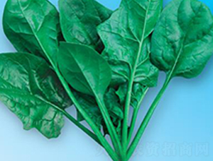 �G��(y��u)��5̖(h��o)-���˷N��-΢�ȷN�I(y��)