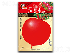 �t����(l��i)-�}���N��-���ѩ��