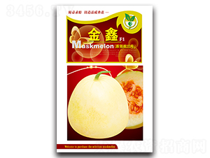 金鑫-香瓜種子-金翊雪龍