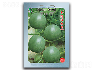 金牌綠如意-香瓜種子-金翊雪龍