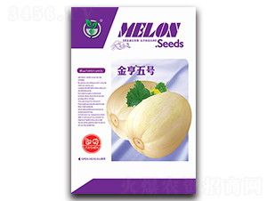 金亨五號-香瓜種子-金翊雪龍