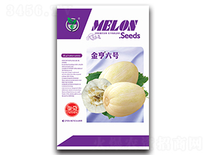 金亨六號(hào)-香瓜種子-金翊雪龍