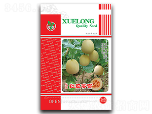 改良紅瓤蜜雪-香瓜種子-金翊雪龍