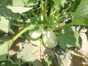 ���18̖(h��o)-�����J�N��-����r(n��ng)�I(y��)