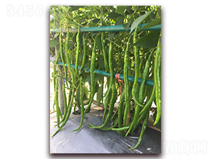 ̩��28-�����N��-����N��