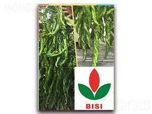 泰龍76-辣椒種子-正大種子