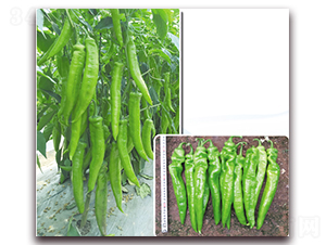 ̩��-�����N��-����N��