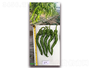 ̩�]79-�����N��-����N��