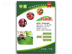 �~���-�л�