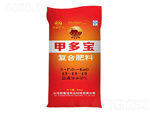 ��(f��)�Ϸ���19-19-19-�׶���-�¸���