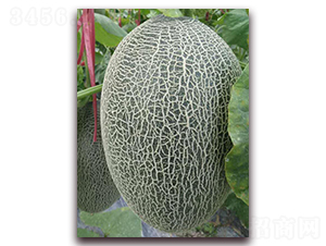 �¼t��17̖-���ܹϷN��-�����N��