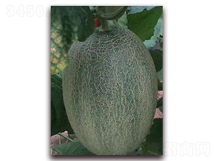 �ƾW(w��ng)���ʮ��̖(h��o)-���ܹϷN��-�����N��