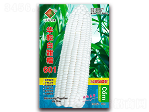 �A�Ű���Ŵ601-Ŵ���׷N��-�����N�I(y��)