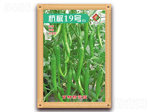 ����19̖(h��o)F1-�����N��-�����N�I(y��)