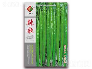 ����-�����N��-�����N�I(y��)