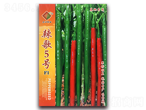 ����5̖F1-�����N��-�����N�I(y��)