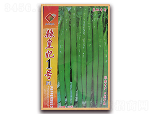 ������1̖F1-�����N��-�����N�I(y��)