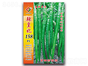 辣皇妃158F1-辣椒種子-三江種業(yè)