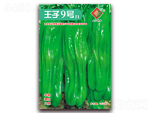王子9號F1-辣椒種子-三江種業(yè)