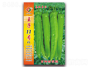 ����11̖F1-�����N��-�����N�I(y��)