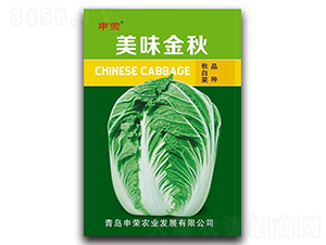 申榮美味金秋-大白菜種子-申榮農(nóng)業(yè)