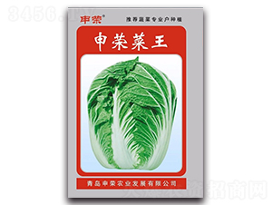 申榮菜王-大白菜種子-申榮農(nóng)業(yè)