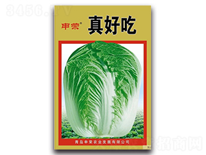 申榮真好吃-大白菜種子-申榮農(nóng)業(yè)