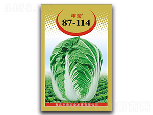 申榮87-114-大白菜種子-申榮農(nóng)業(yè)