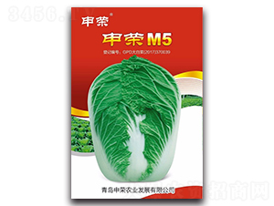 申榮M5-大白菜種子-申榮農(nóng)業(yè)