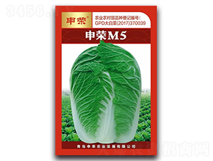 申榮M5（大紅版）-大白菜種子-申榮農(nóng)業(yè)