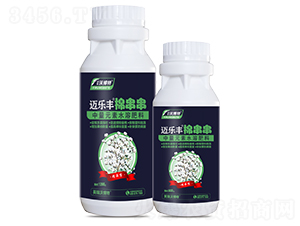 �޴���-�~���S-Ӣ���ֲ���