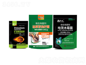 �����B(y��ng)���ײ�-�պ�-����Ԫ��