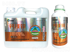 �}�V�\-�|�p�A-����Ԫ��